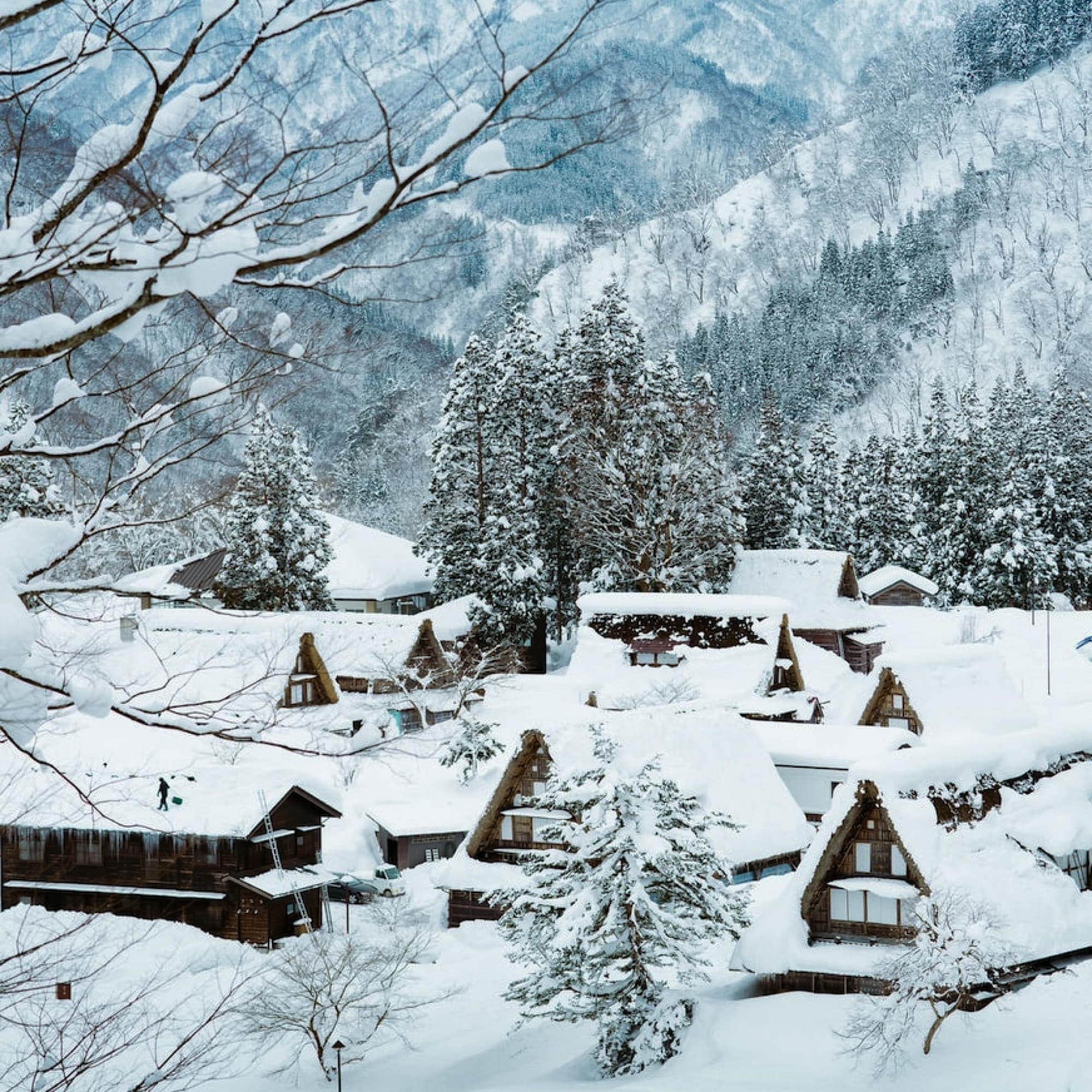 冬遊戲雪